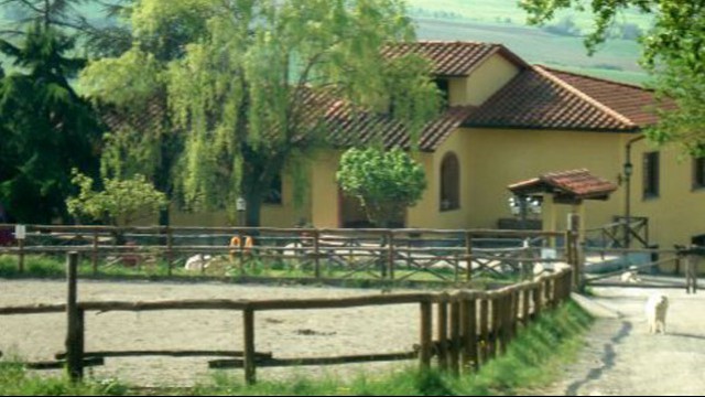 Ranch Ricavo