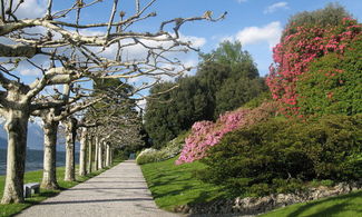 Villa Melzi d'Eril, incantevoli giardini vista lago