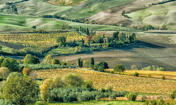 paesaggio collinare toscano, Valdichiana, Siena