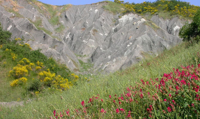 gessi bolognesi fiori rocce colline bologna calanchi