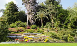 Como: primavera al Giardino Botanico di Villa Carlotta